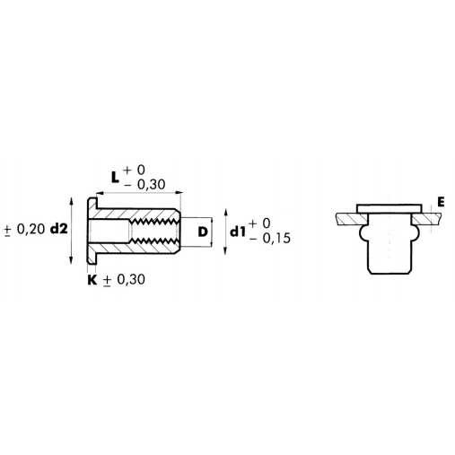 Gevindnitte M5 x12mm A2500stk.